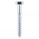 6mm x 20mm - Coach Screw Hexagon DIN 571 - BZP - Pack of 100