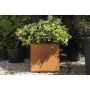 Corten Steel Cube Planter - 400mm x 400mm x 400mm