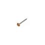 Plastic Headed Pins - 30mm Golden Oak - Box of 250