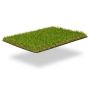 Namgrass 35mm Artificial Grass - Wilverley - 2m x 5m
