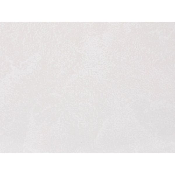 Bathroom Wall Panel - 1000mm x 2400mm x 10mm Frosty White
