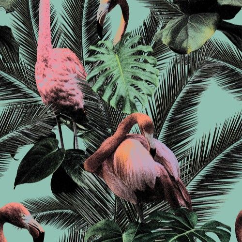 Acrylic Wall Panel - 1200mm x 2400mm x 4mm Flamingo