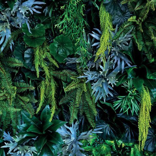 Acrylic Wall Panel - 1200mm x 2400mm x 4mm Plant Wall