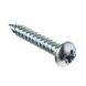 Cast Iron Universal Gutter Fixing Screw - 30mm