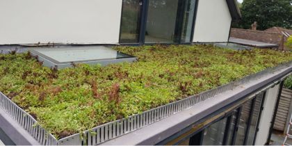 How to Install a Green Roof
