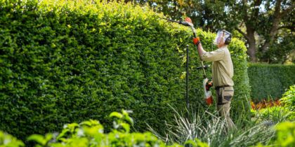 How to Install Hedging Screens