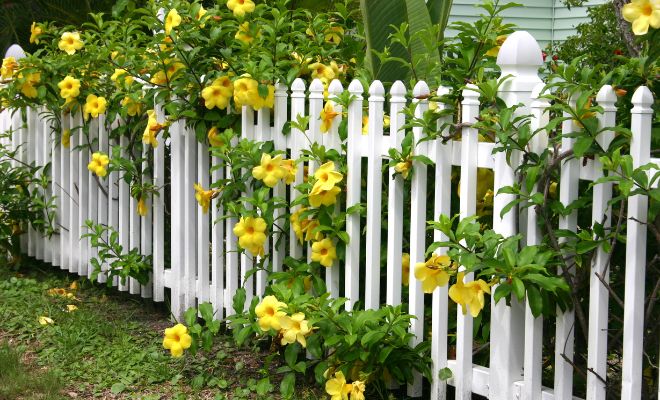 Choosing the Right Fence for Your Garden