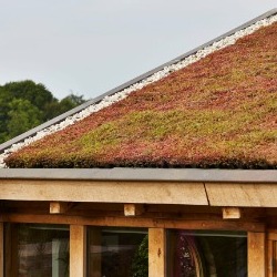 Green roofs - Your Questions