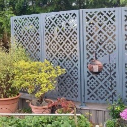 Privacy Screens - Guides & Reviews
