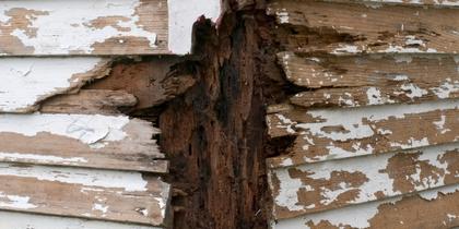 Why Is My Old Fascia Damp And Rotten?