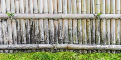 How to Remove Green Algae from a Wooden Fence